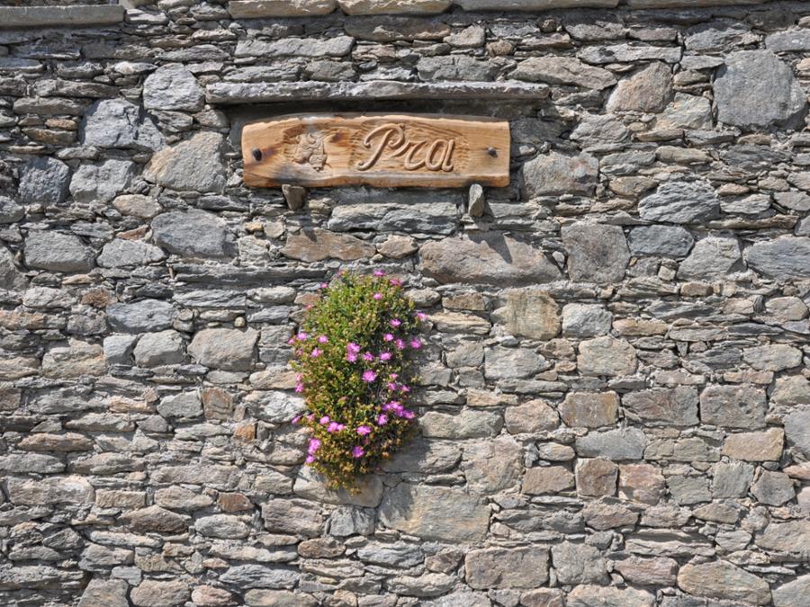 DANS LES BOIS DU SANCTUAIRE DE VICOFORTE - ENTRE SACRALITÉ ET CHÂTAIGNIERS